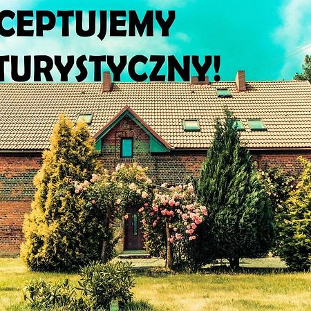 Chata Na Koncu Swiata Czaplin Maly 외부 사진